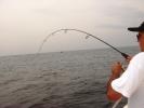 Alvaro, equipe MBV, brigando com um peixe em p...