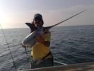 SWORDFISH-AGULH�O-ESPADARTE-MECA OU MARLIMZINH...