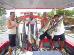 Equipe Reunida - 80 dourados na faixa de 6 a 15 kg