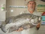 Equipe Tijol - Pescaria em 15/12 - Prejereba de 5 kg