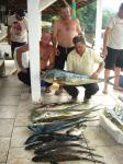Equipe Ventania X - Revela��o 2008 !!!!