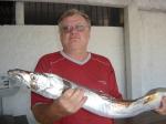 Equipe Ventania - grandes espadas no s�bado - 15/11