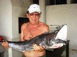 Paulinho Cavalo - pescaria em 24/01 - Cavala wahoo de 8,2 kg
