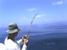 Pescaria da equipe Fabinho nos 52 metros - Dou...