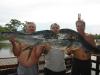 Minha pescaria com o Maça e o Guetos Bar - Dourados de 10 kg !!!!! –  Postado em  02/02/2010 por Marina Bela Vista