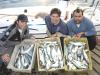 Equipe Fabinho - 180 anchovas embarcadas !!!!!