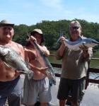 Equipes da MBV Equipes da MBV