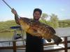 Equipe Fabinho - pescaria em 15/08 - Garoupa de 13 kg Equipe Fabinho - pescaria em 15/08 - Garoupa de 13 kg