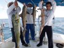 Pescaria com barco Marlin Azul ll, equipe de B...